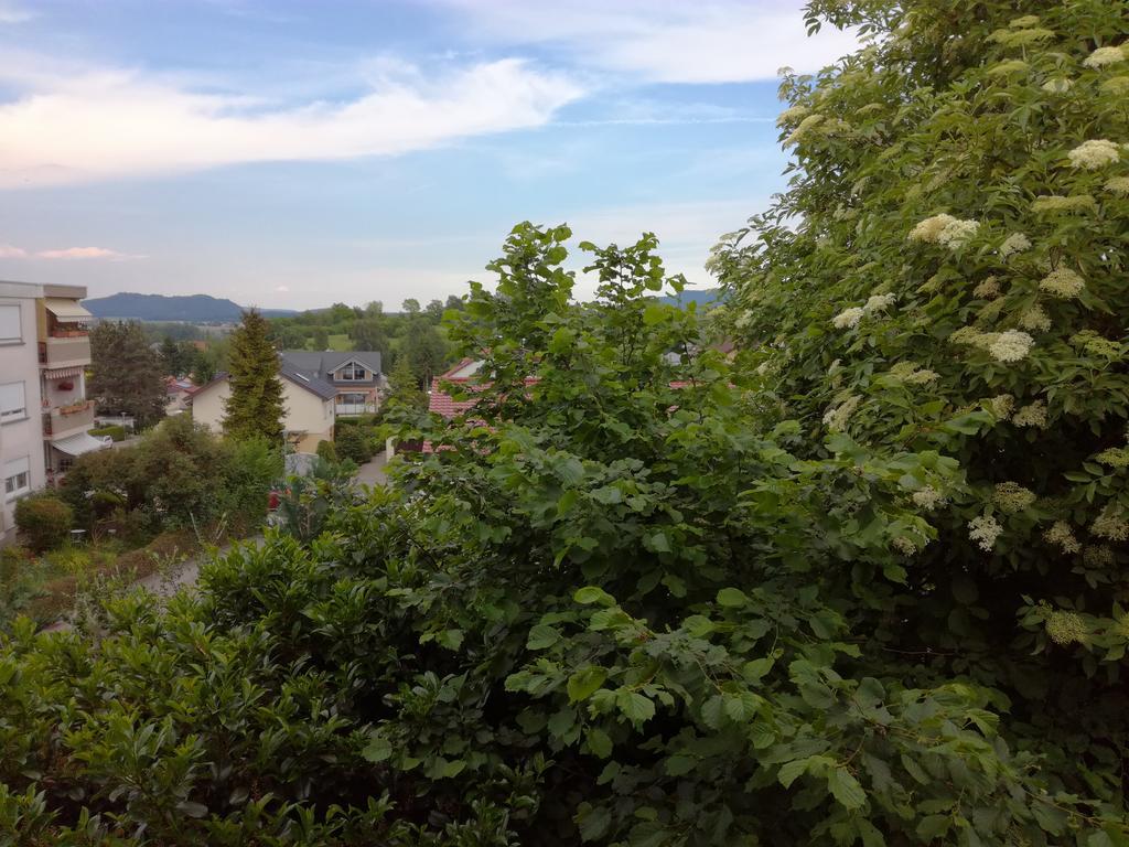 Alte Schreinerei-Auberge Harlekin Randegg Dış mekan fotoğraf